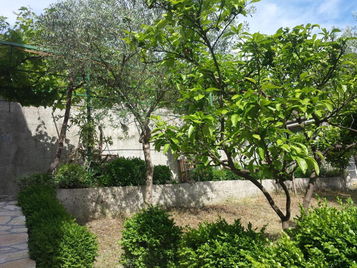 Hoxha Rooms Улцин Екстериор снимка